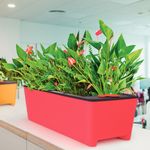 vaso-autoirrigavel-tramontina-12l-rosa-3