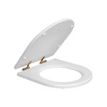 assento-sanitario-poliester-deca-ap-23-gl-rd-17-slow-close-branco-1