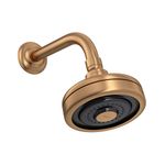 chuveiro-deca-acqua-plus-1990-gl-std-mt-de-parede-gold-matte-1