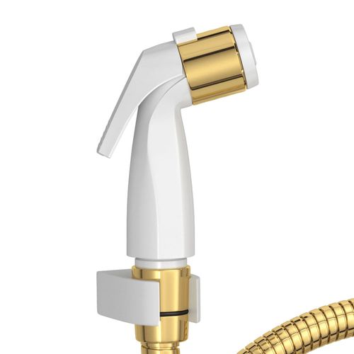 Ducha Higiênica Deca Polo 1984.GL33.ACT com Registro e Derivação Gold