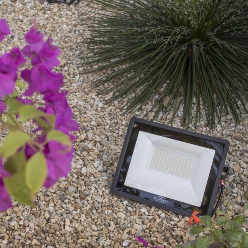 Refletor Blumenau Led Tech 100W Preto Bivolt