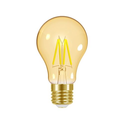 Lâmpada Led Taschibra Filamento Vintage A60 4W E27 Bivolt