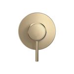acabamento-monocomando-para-chuveiro-deca-you-4993-sm104-chu-mt-redondo-summer-gold-2
