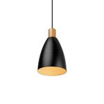 lustre-pendente-blumenau-ceci-e27-bivolt-preto-e-dourado-1
