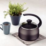 chaleira-tramontina-28534619-1-9l-com-tampa-de-vidro-chumbo-3