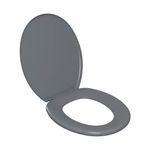 assento-sanitario-plastico-astra-tpj-as-anatomico-cinza-1-2.jpg