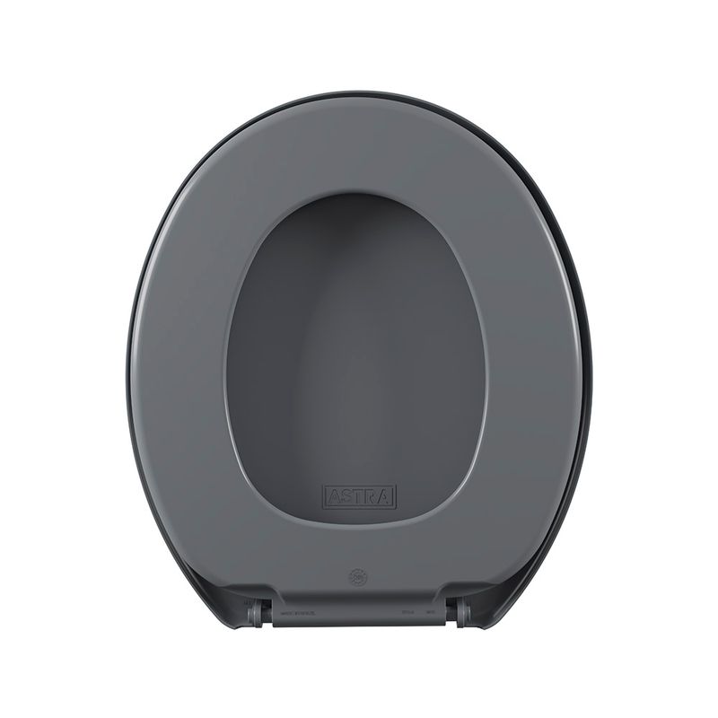 assento-sanitario-plastico-astra-tpj-as-anatomico-cinza-1-5.jpg