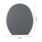 assento-sanitario-plastico-astra-tpj-as-anatomico-cinza-1-6.jpg
