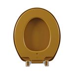 assento-sanitario-plastico-astra-tar-as-almofadado-reforcado-caramelo-5.jpg